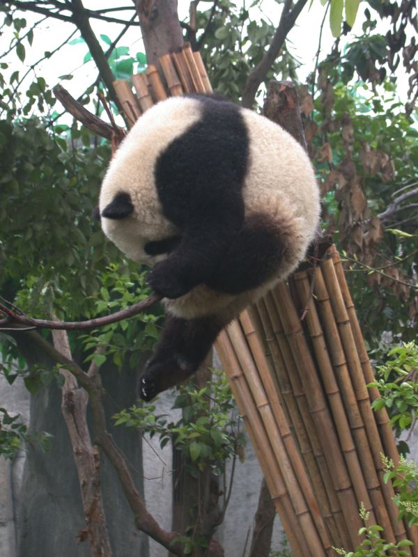 dscn3626.jpg
