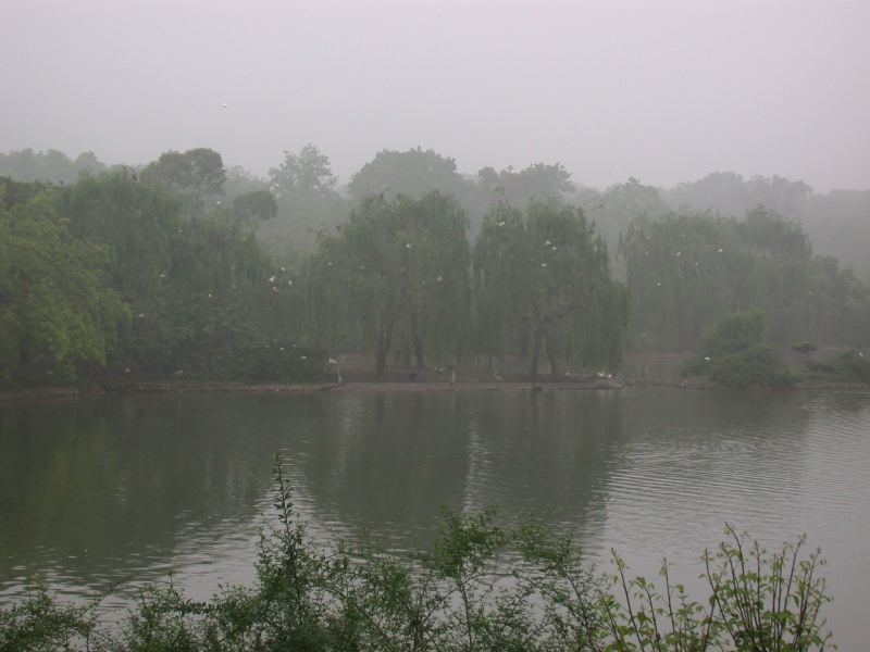 dscn3664.jpg