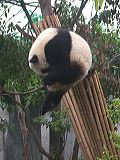 dscn3626