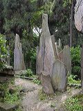 dscn3681