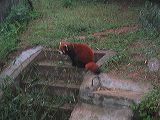 img_3442