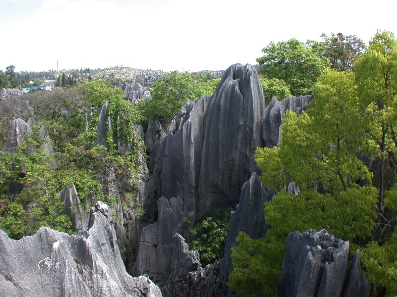 dscn2550.jpg