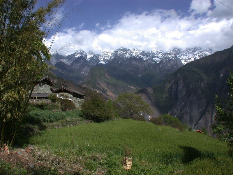 dscn2917.jpg