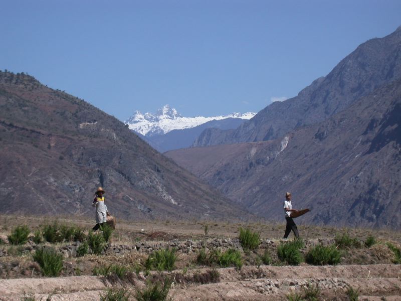 dscn3205.jpg