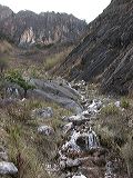 dscn3097