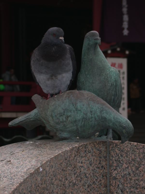 dscn0324.jpg