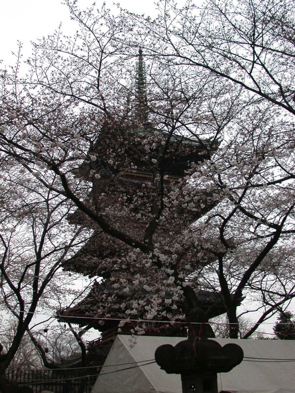 dscn0352.jpg