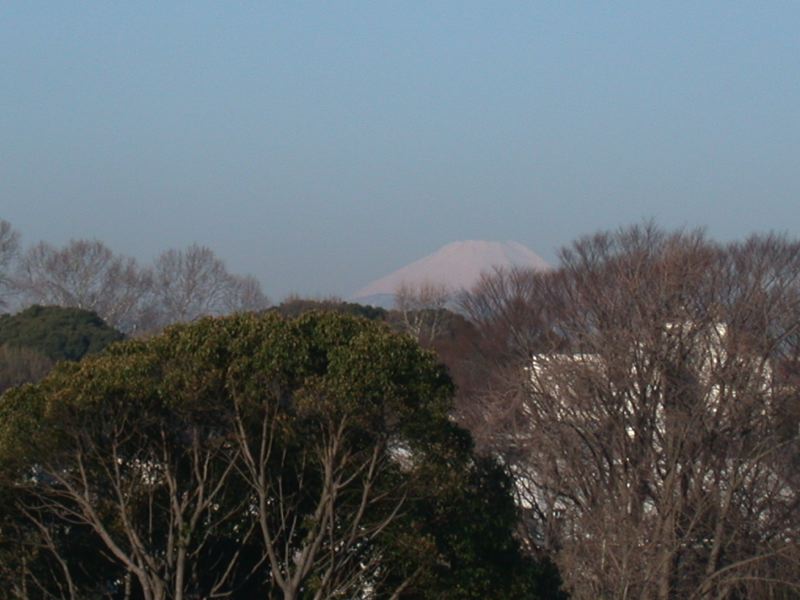 dscn0433.jpg