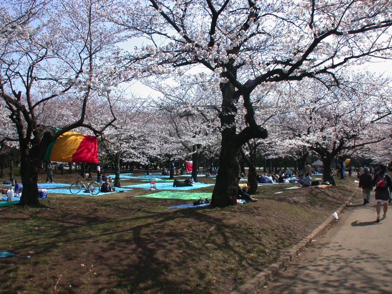 dscn0560.jpg