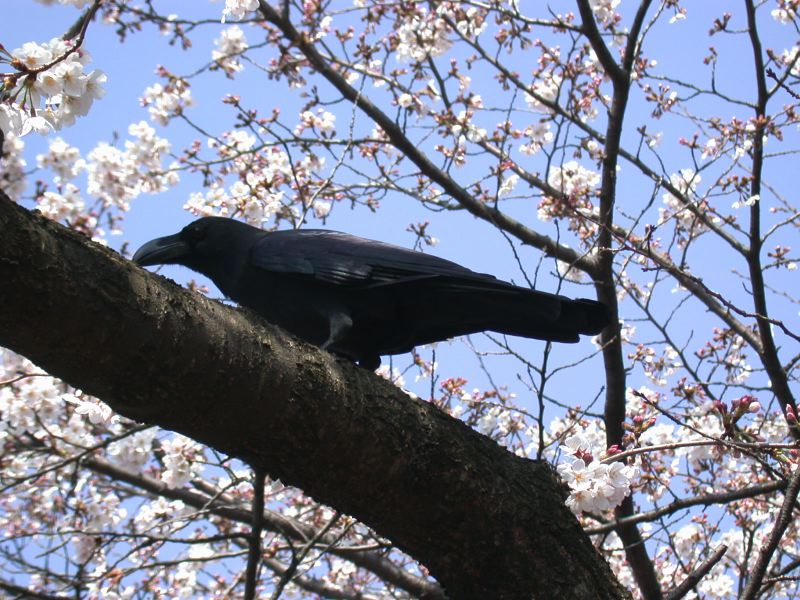 dscn0563.jpg