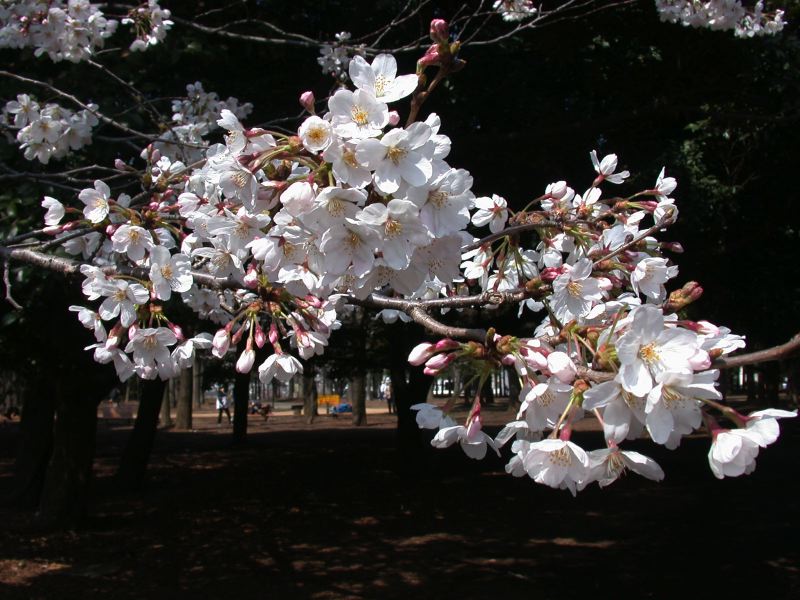 dscn0581.jpg