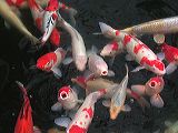 dscn0275