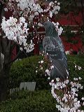 dscn0318