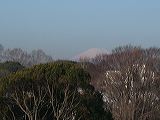 dscn0433