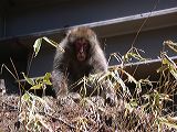 dscn0473