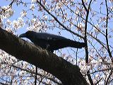 dscn0563