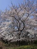 dscn0568