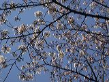 dscn0664