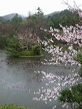 dscn0765