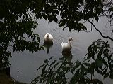 dscn0777