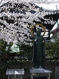 dscn0893