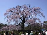 dscn0897