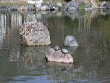 dscn0901