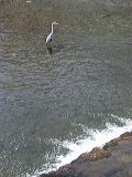 dscn0982