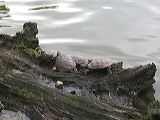 dscn1108