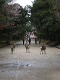 dscn1112