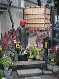 img_2647