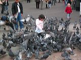 img_2699