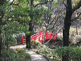 img_2738