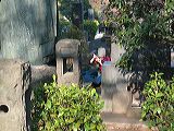 img_2843