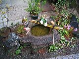 img_2891
