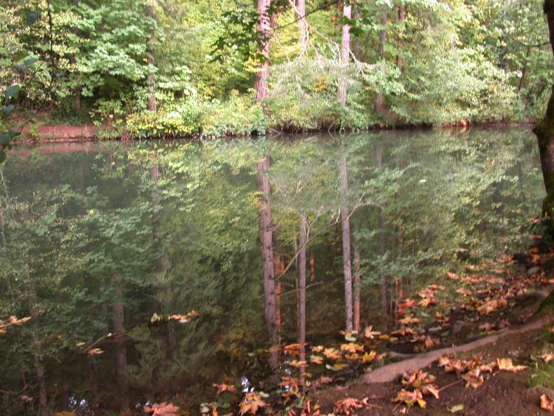 dscn4217.jpg