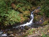dscn4214
