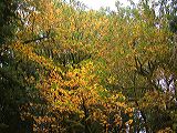 dscn4215