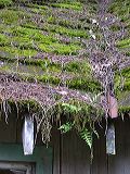 dscn4344