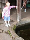dscn4354