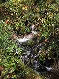 dscn4377